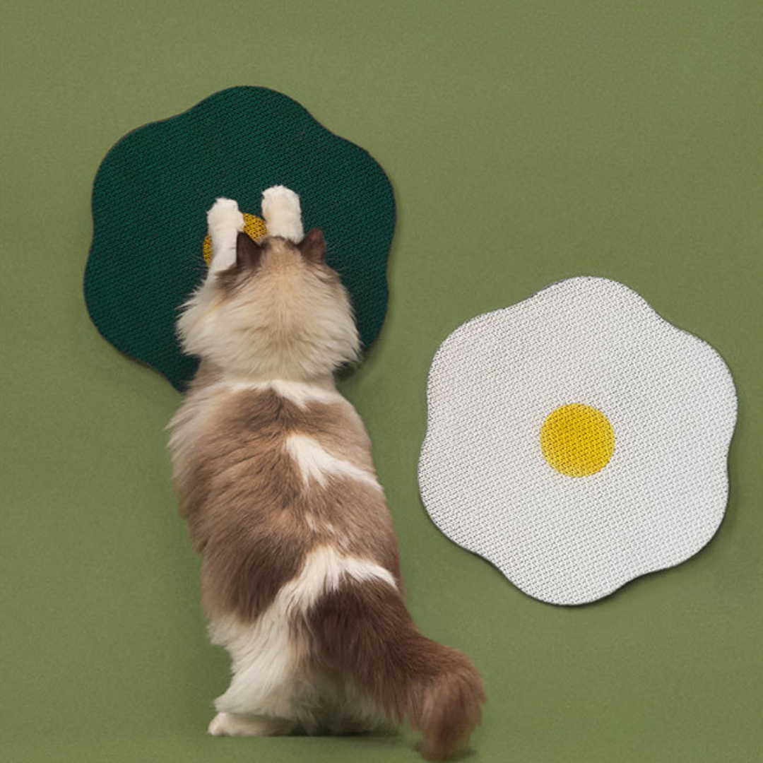 Interactive Flower Cat Scratcher Toy for Fun Playtime