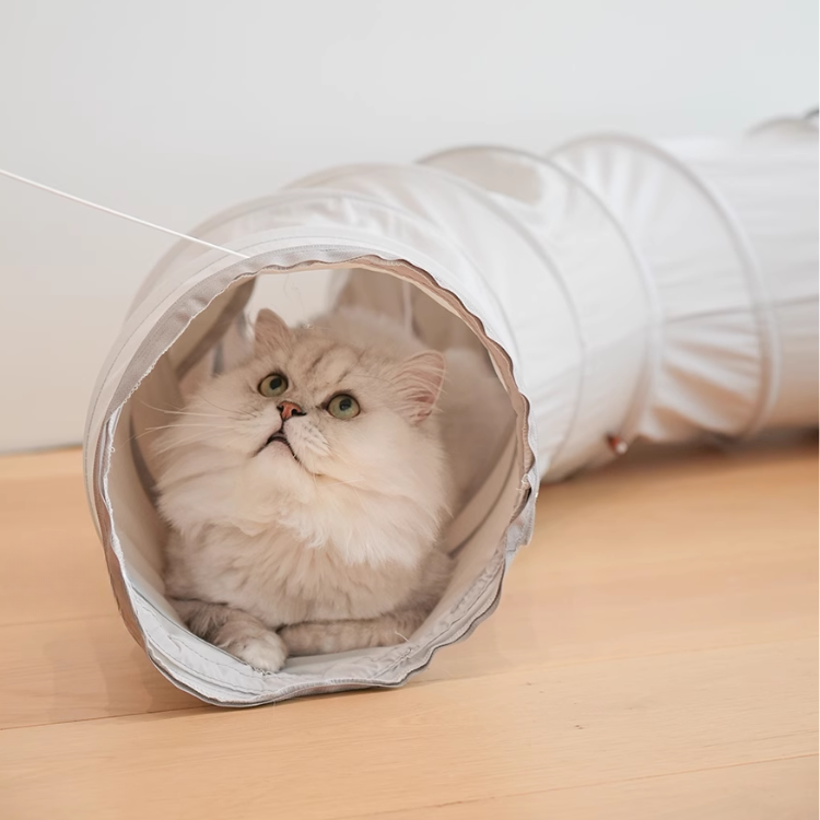 Interactive Cat Tunnel Toy for Indoor Fun & Exploration