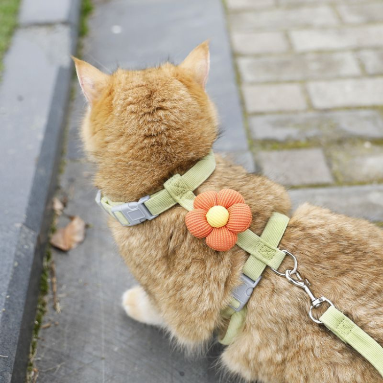Adjustable Escape-Proof Cat Leash Collar for Safe Walks