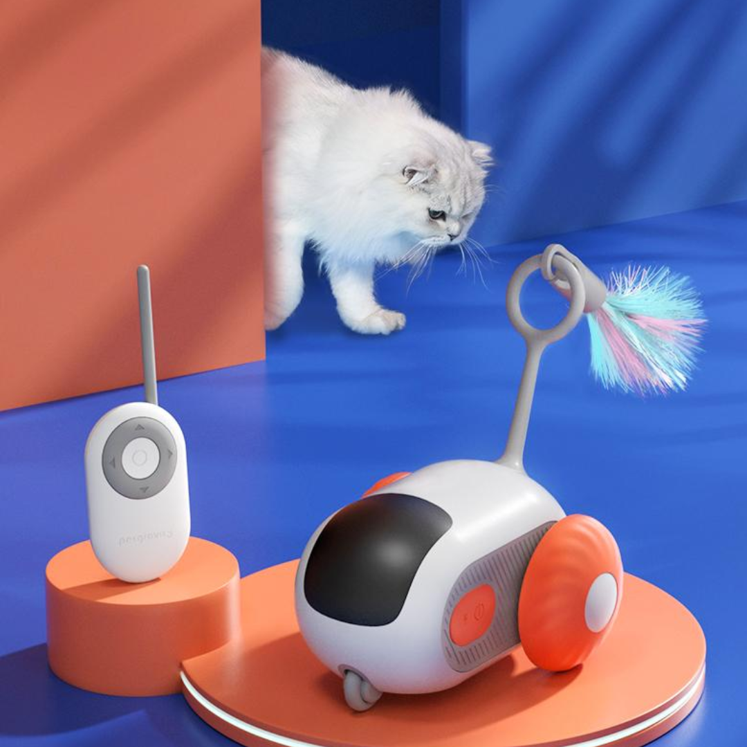 Interactive Electric Racing Car Cat Toy for Endless Fun