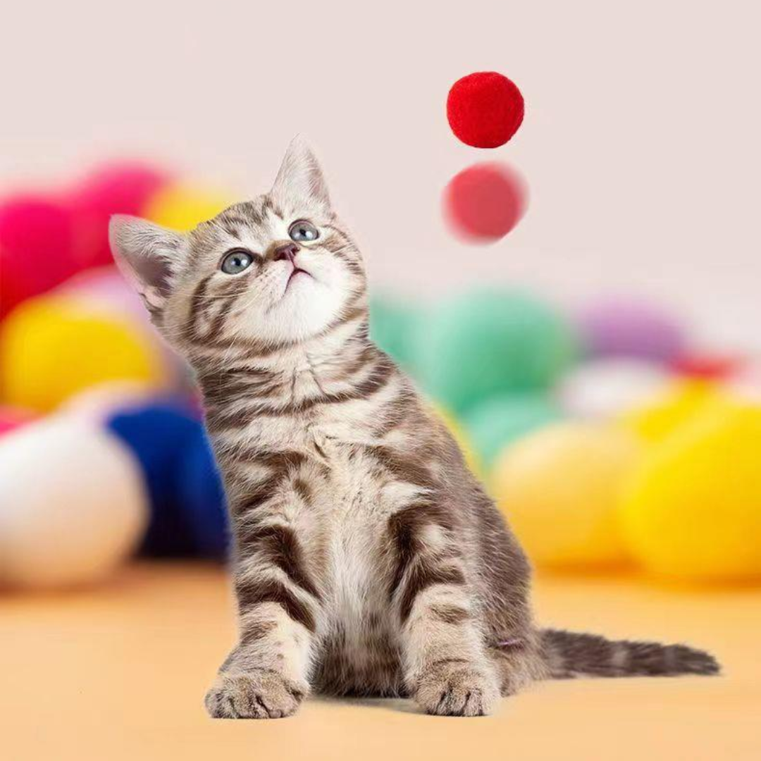 Interactive Cat Toy Pom Pom Ball Launcher for Indoor Fun
