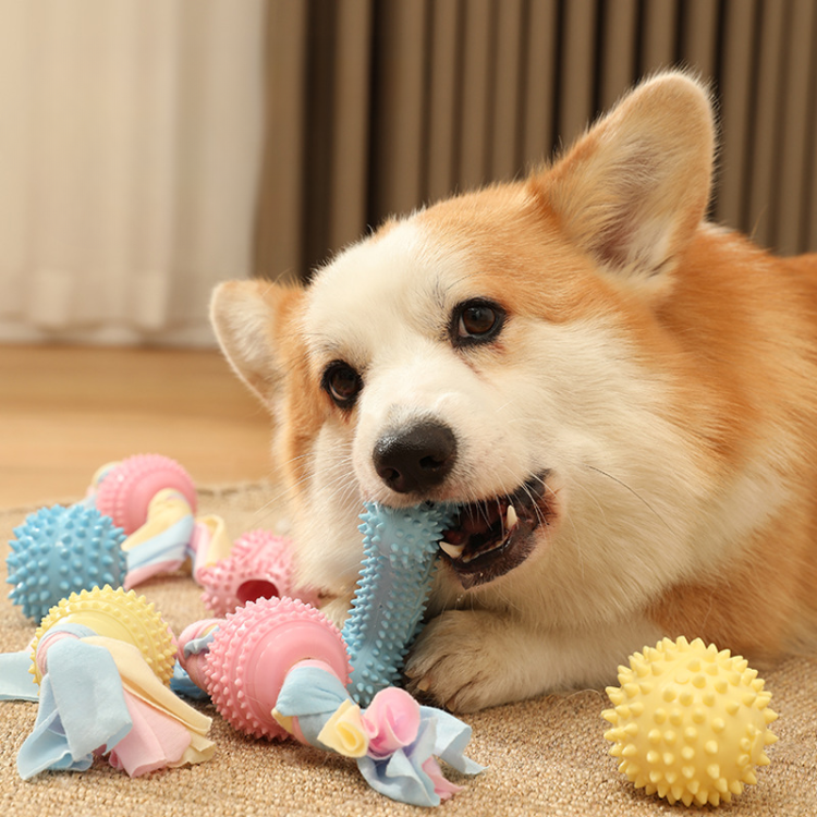 Durable Dog Tug Rope Chew Toys for Interactive Play