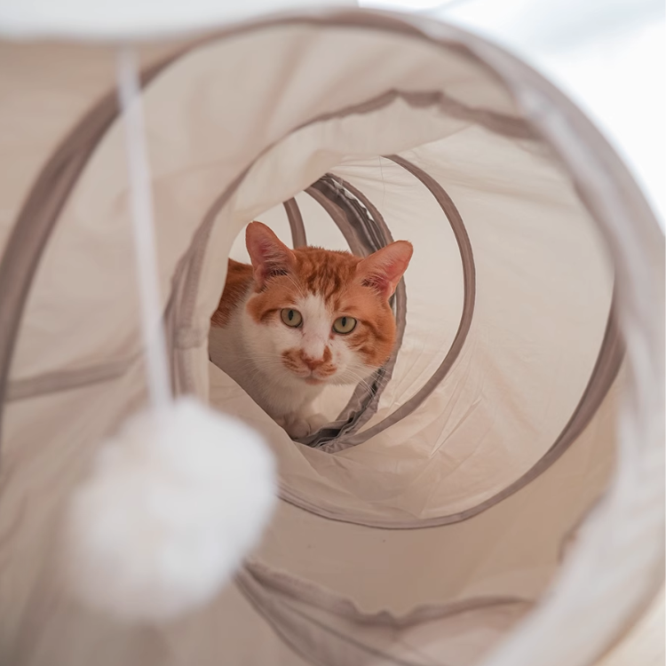 Interactive Cat Tunnel Toy for Indoor Fun & Exploration