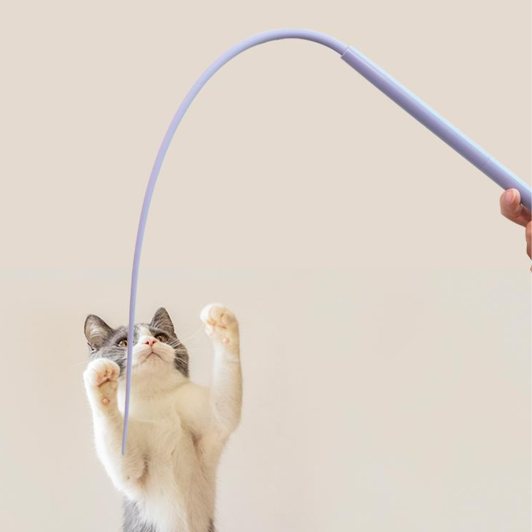 Durable Silicone Cat Teaser Toys for Interactive Play