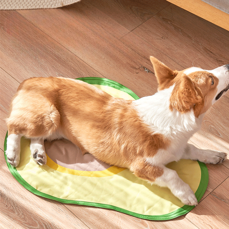 Cooling Pet Mat for Summer Comfort - Perfect for Dogs & Cats