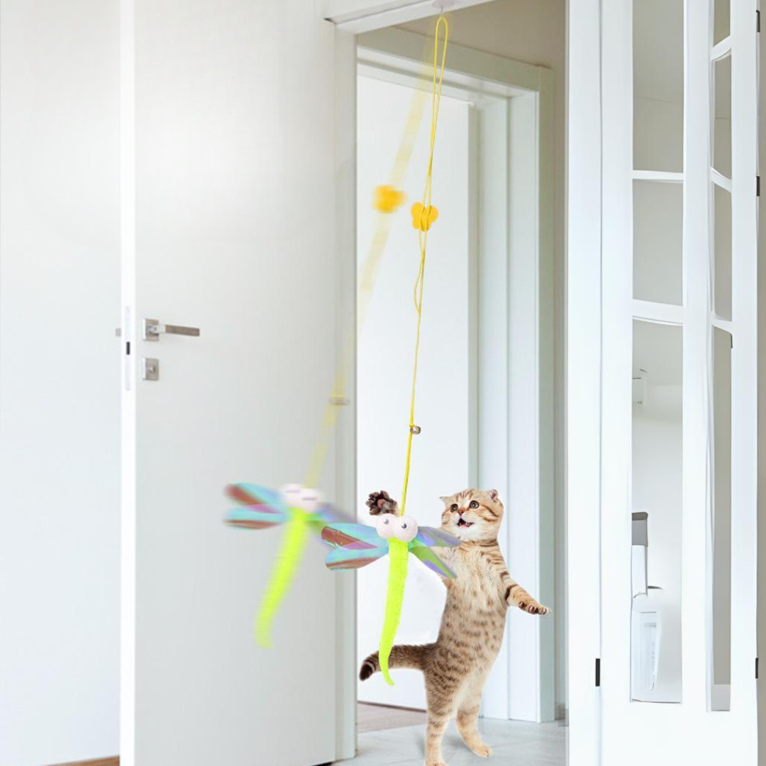 Interactive Cat Toy: Fun Door Hanging Teaser for Cats