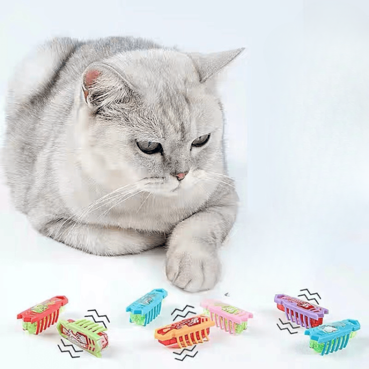 Interactive Electric Cat Toy for Endless Fun