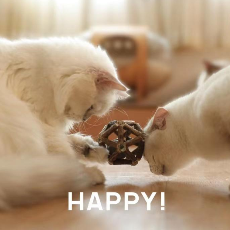 Durable Natural Catnip Toys for Chewing Fun