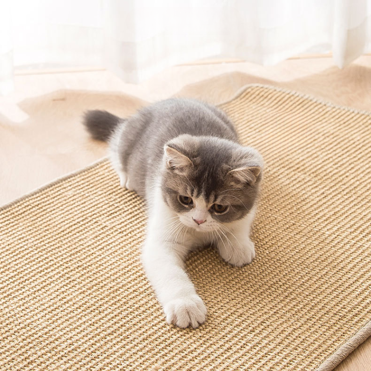 Durable Cat Scratching Mat for Sofa Protection