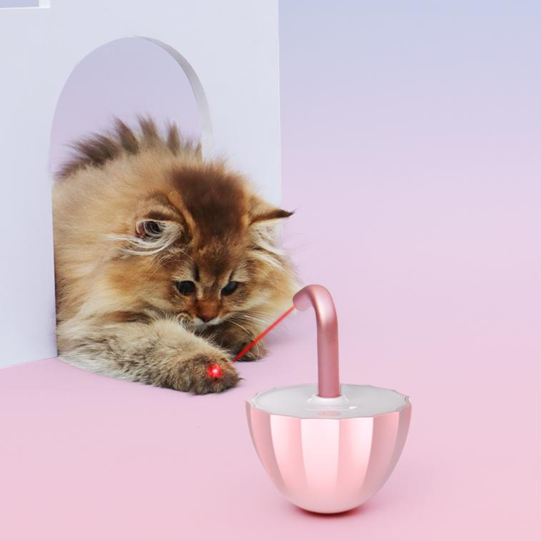 Interactive Laser Light Tumbler Toy for Endless Fun