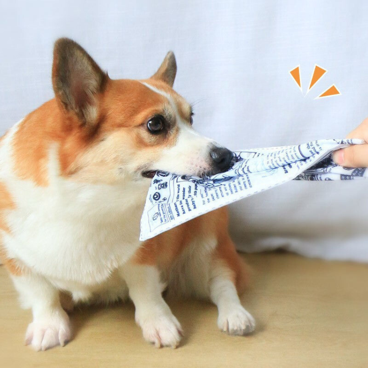 Interactive Pet Crinkle Paper Toys for Fun Playtime