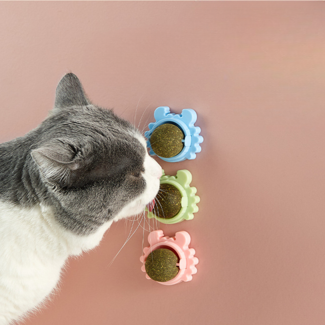 Interactive Crab Cat Toy: Rotating Catnip Treats Ball