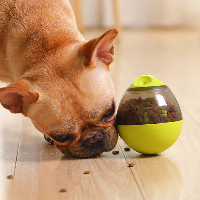Interactive Dog Toy: IQ Treat Ball for Fun & Engagement