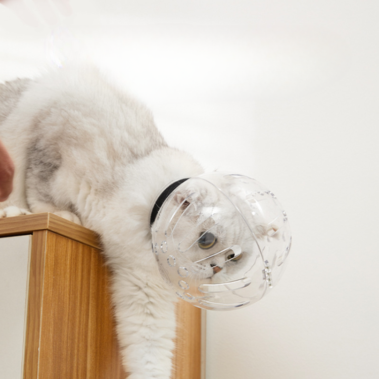 Breathable Cat Muzzle - Safe & Comfortable Grooming Accessory