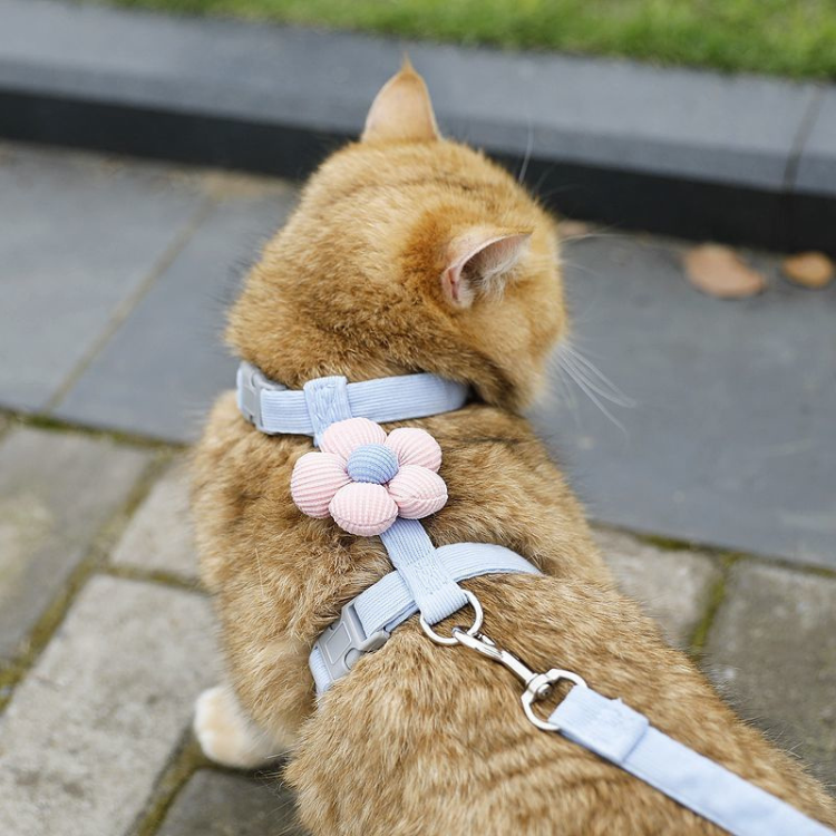 Adjustable Escape-Proof Cat Leash Collar for Safe Walks