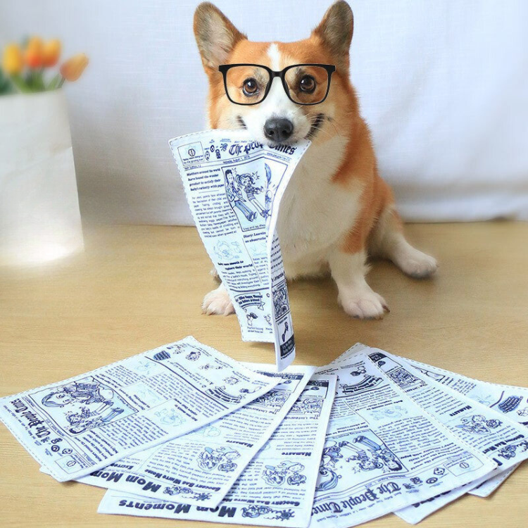 Interactive Pet Crinkle Paper Toys for Fun Playtime