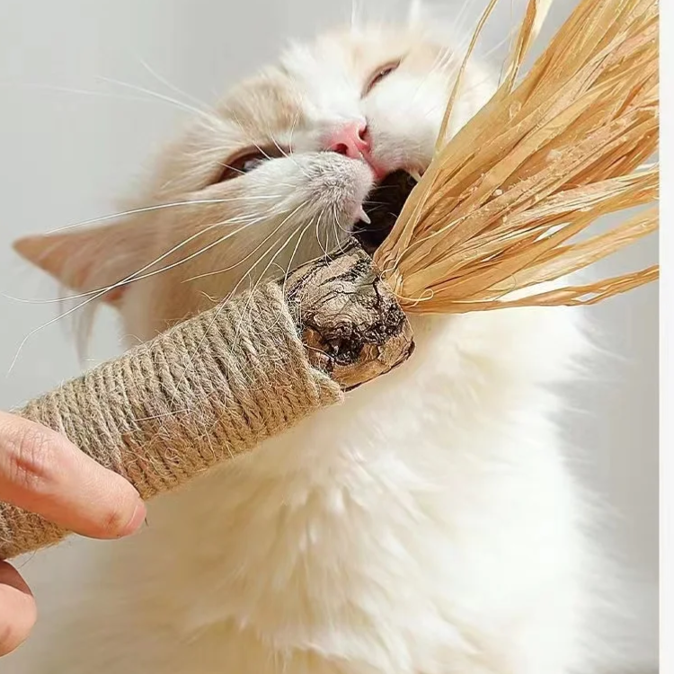Durable Catnip Stick Toys for Interactive Cat Play