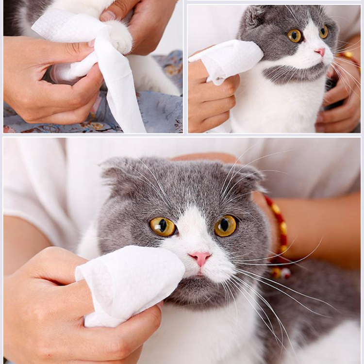 Pet Grooming Wipes: Gentle, Effective Clean for Dogs & Cats