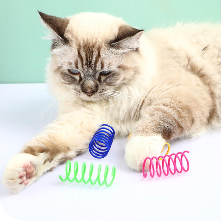 Interactive Colorful Cat Toy for Indoor Fun