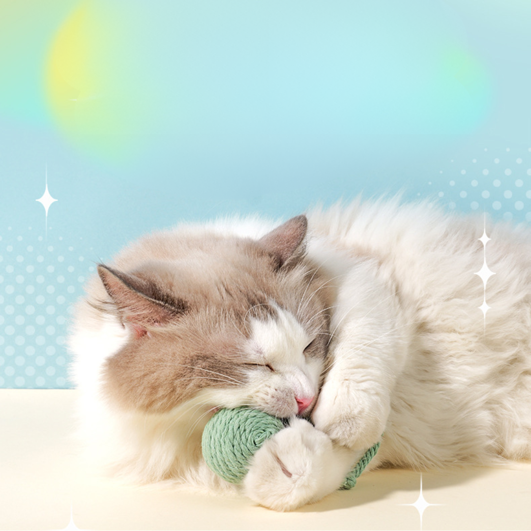 Interactive Cat Toy: Feather Rope with Sound for Endless Fun