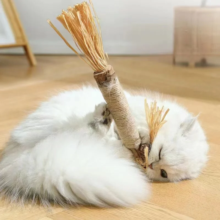 Durable Catnip Stick Toys for Interactive Cat Play