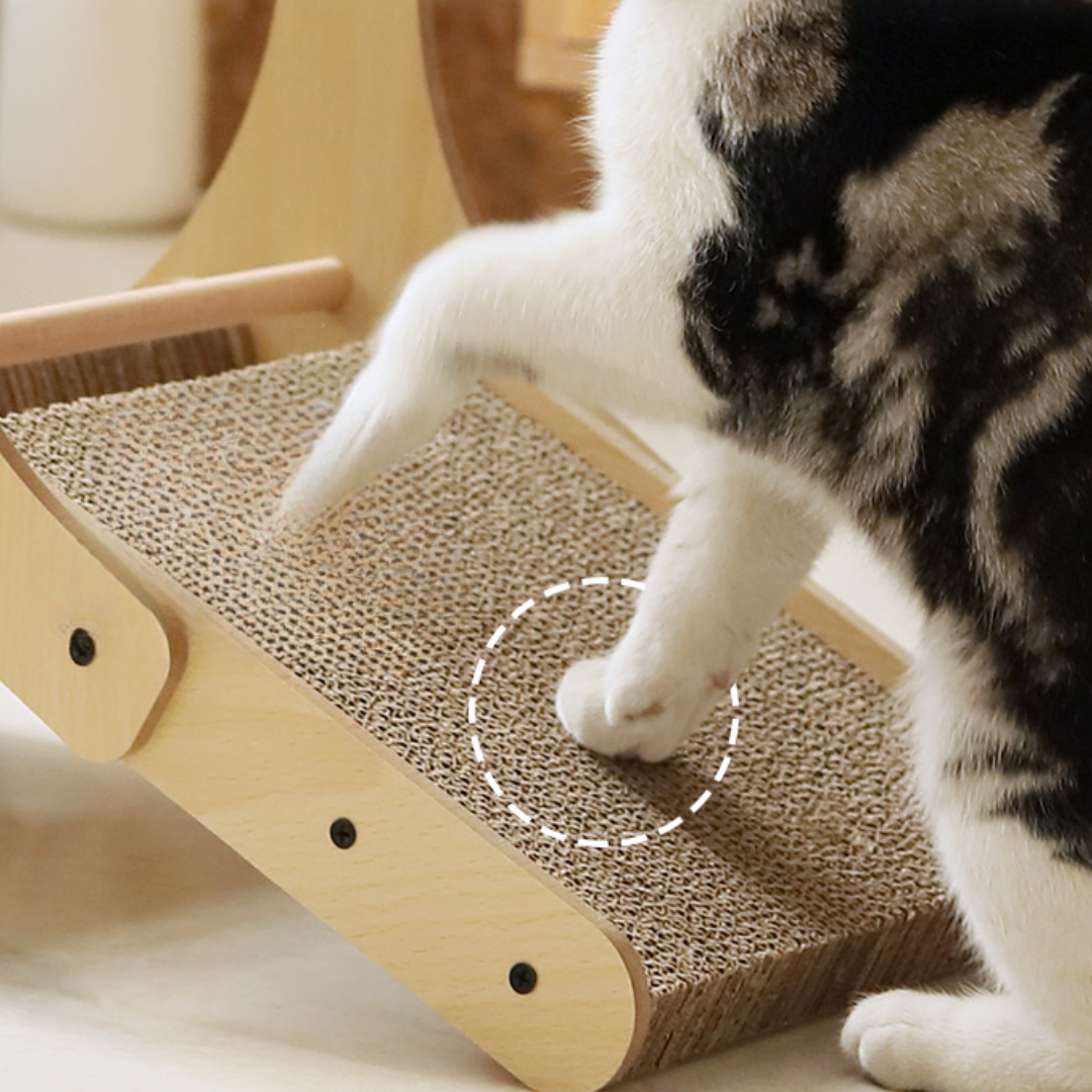 Interactive Cat Toy: Fun Ferris Wheel Scratcher for Cats