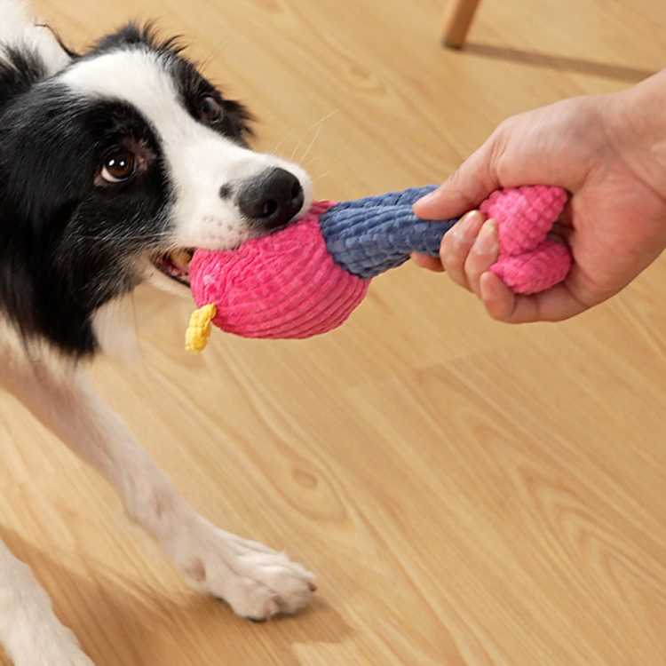 Interactive Plush Squeaker Dog Toys for Endless Fun