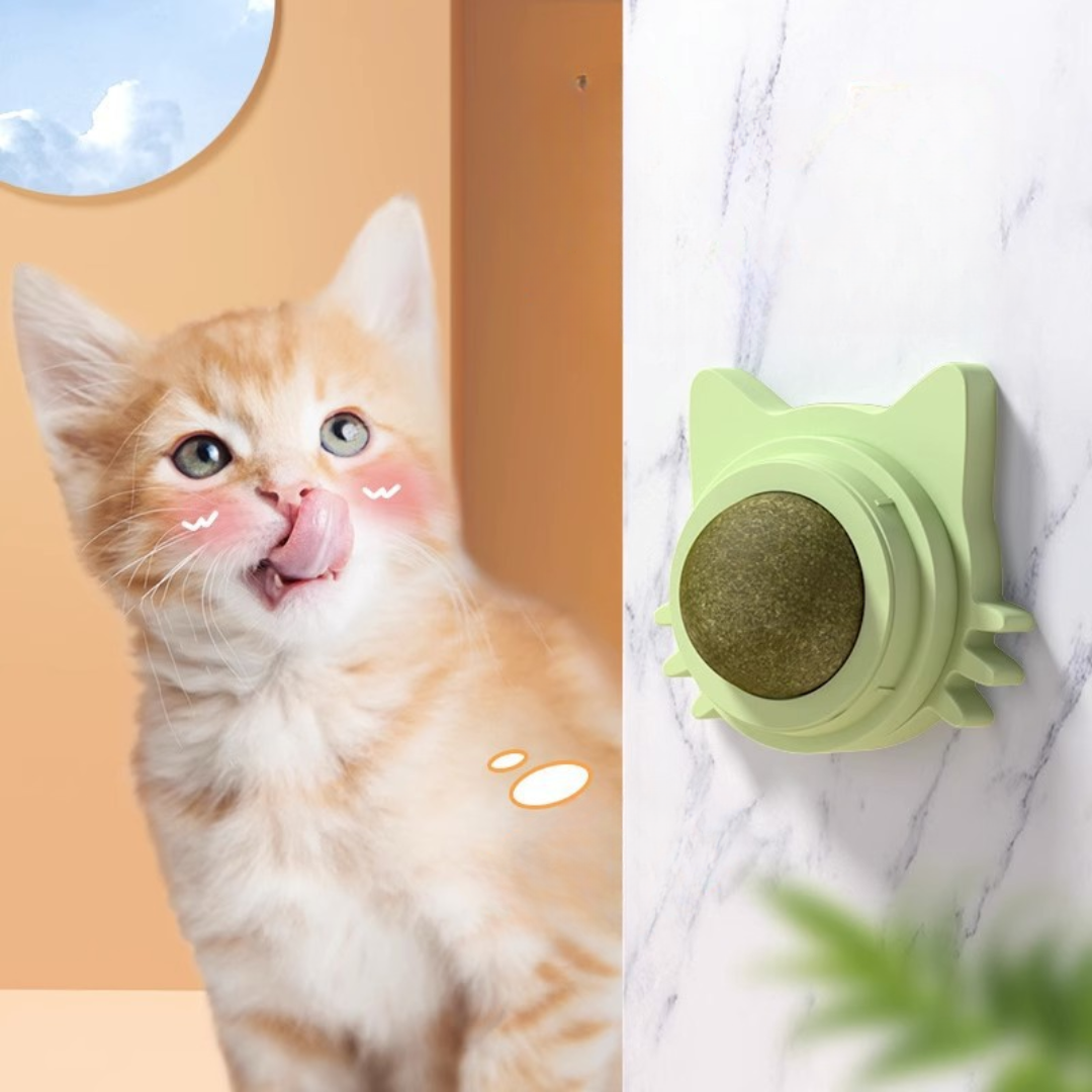 Interactive Catnip Ball Toys for Fun Cat Playtime
