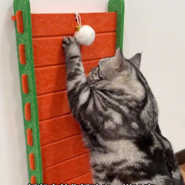 Interactive Wall-Mount Cat Scratching Ramp with Toy