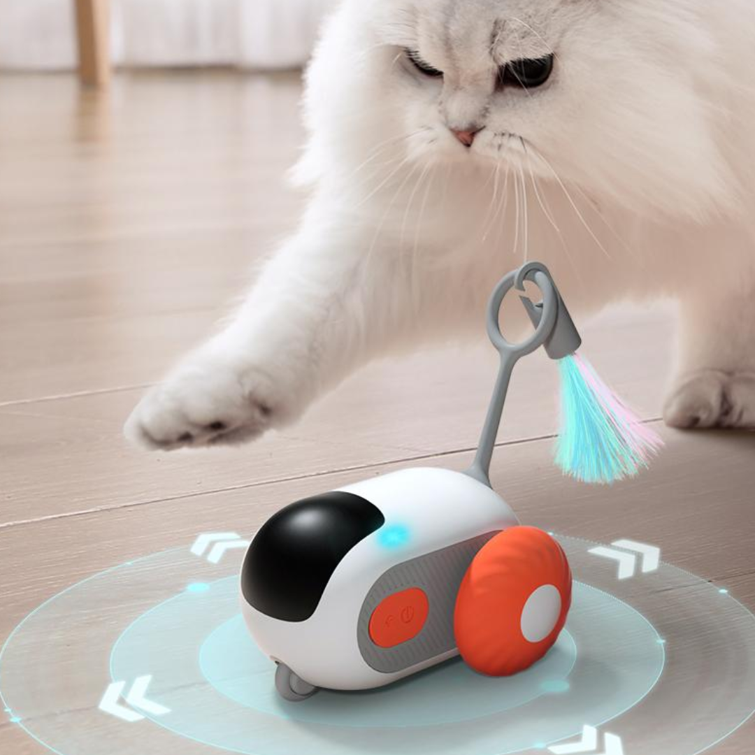 Interactive Electric Racing Car Cat Toy for Endless Fun