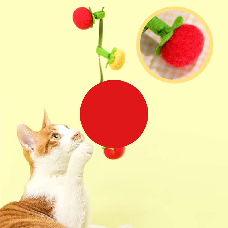 Interactive Cat Toy: Catnip Tomato Teaser with Bell