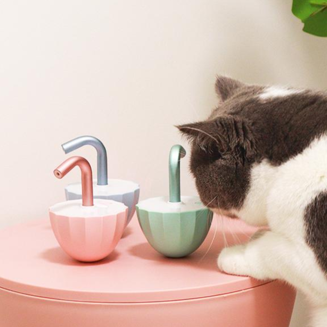 Interactive Laser Light Tumbler Toy for Endless Fun