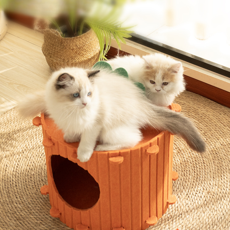 Interactive Carrot Cat Tunnel Bed - Cozy Felt Hideaway