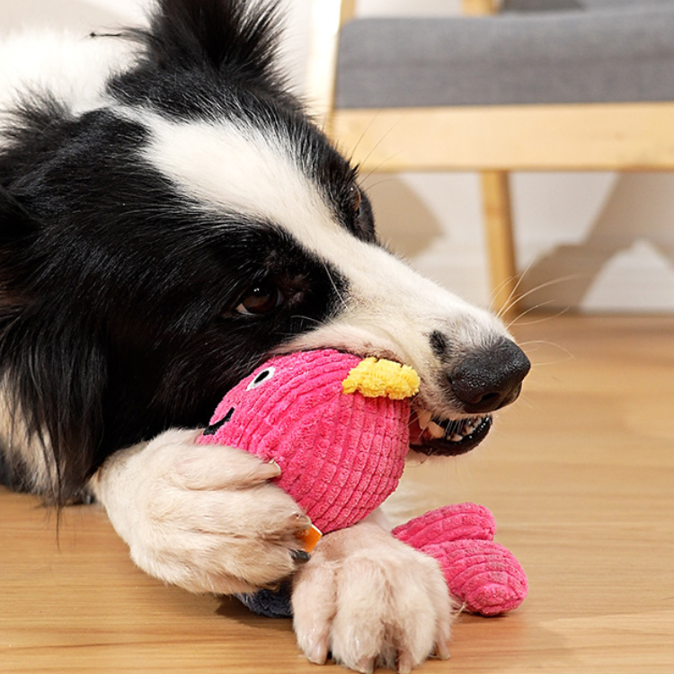 Interactive Plush Squeaker Dog Toys for Endless Fun