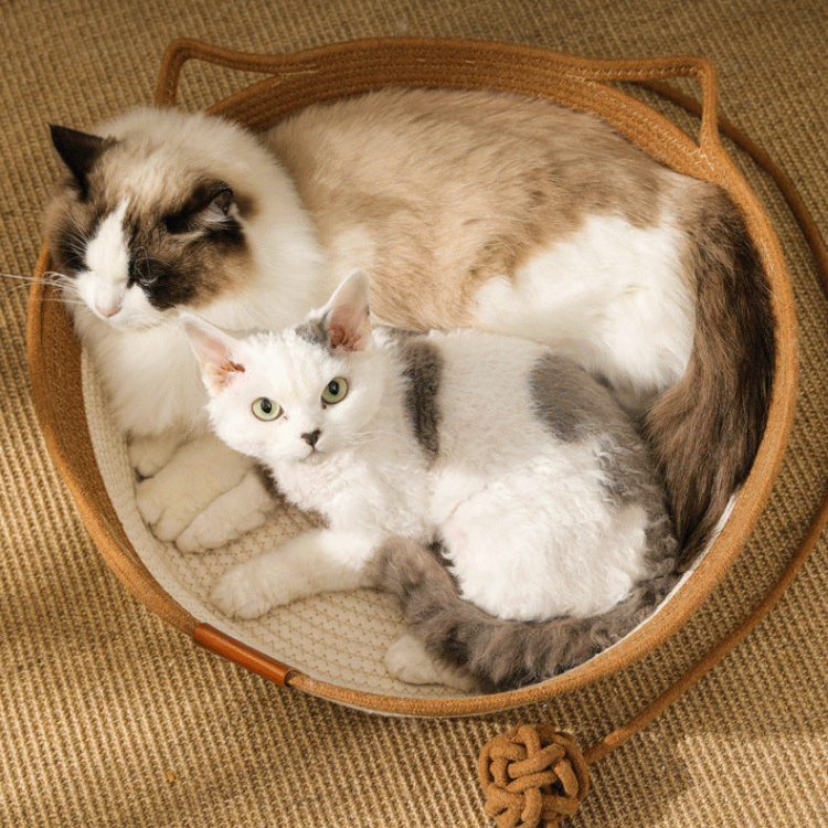 Durable Woven Cat Bed - Cozy Cotton Rope Mat for Comfort