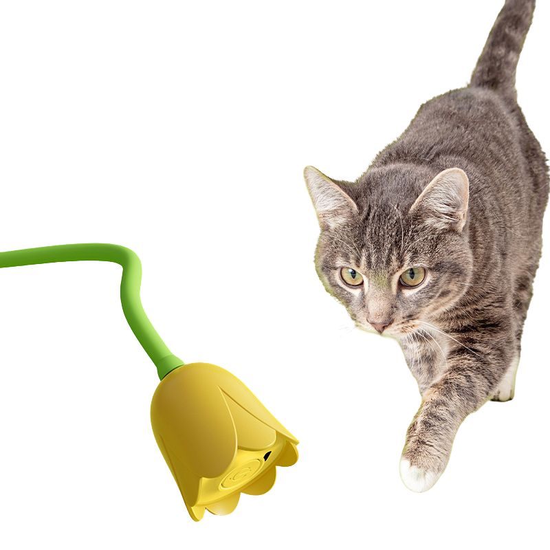 Interactive Cat Toy: Engaging Fun for Your Feline Friend