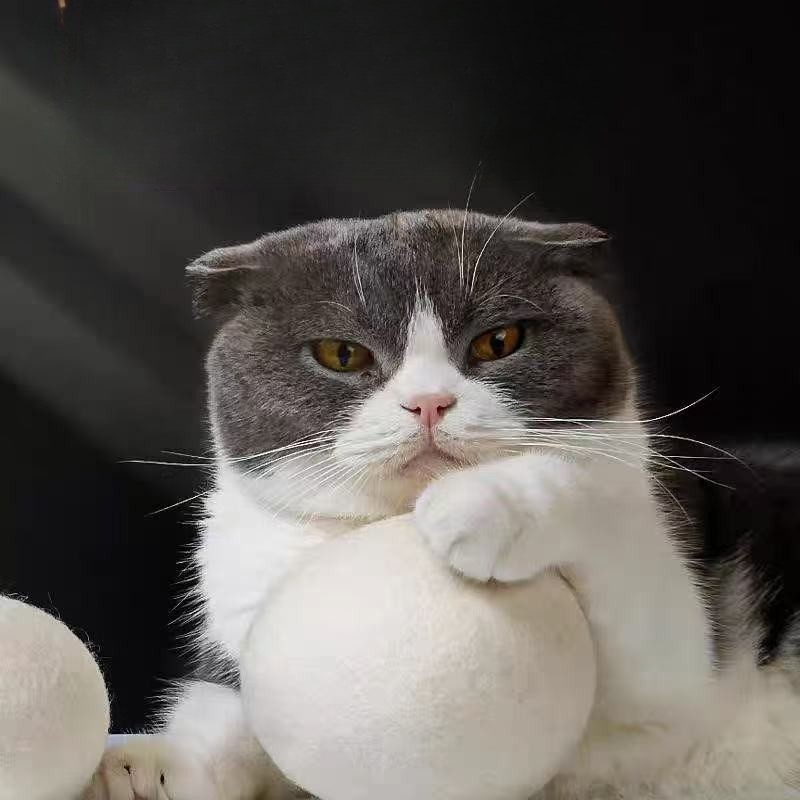 Interactive Soft Wool Cat Toy Ball for Endless Fun
