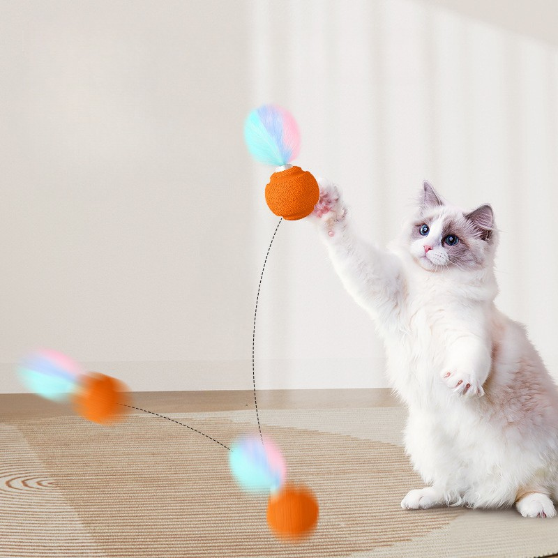 Durable Interactive Cat Toy Ball - Colorful Fun for Cats