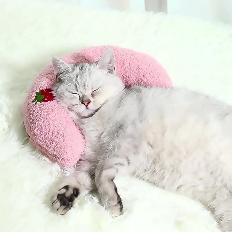 Cozy Soft Cat Pillow for Comfortable Naps