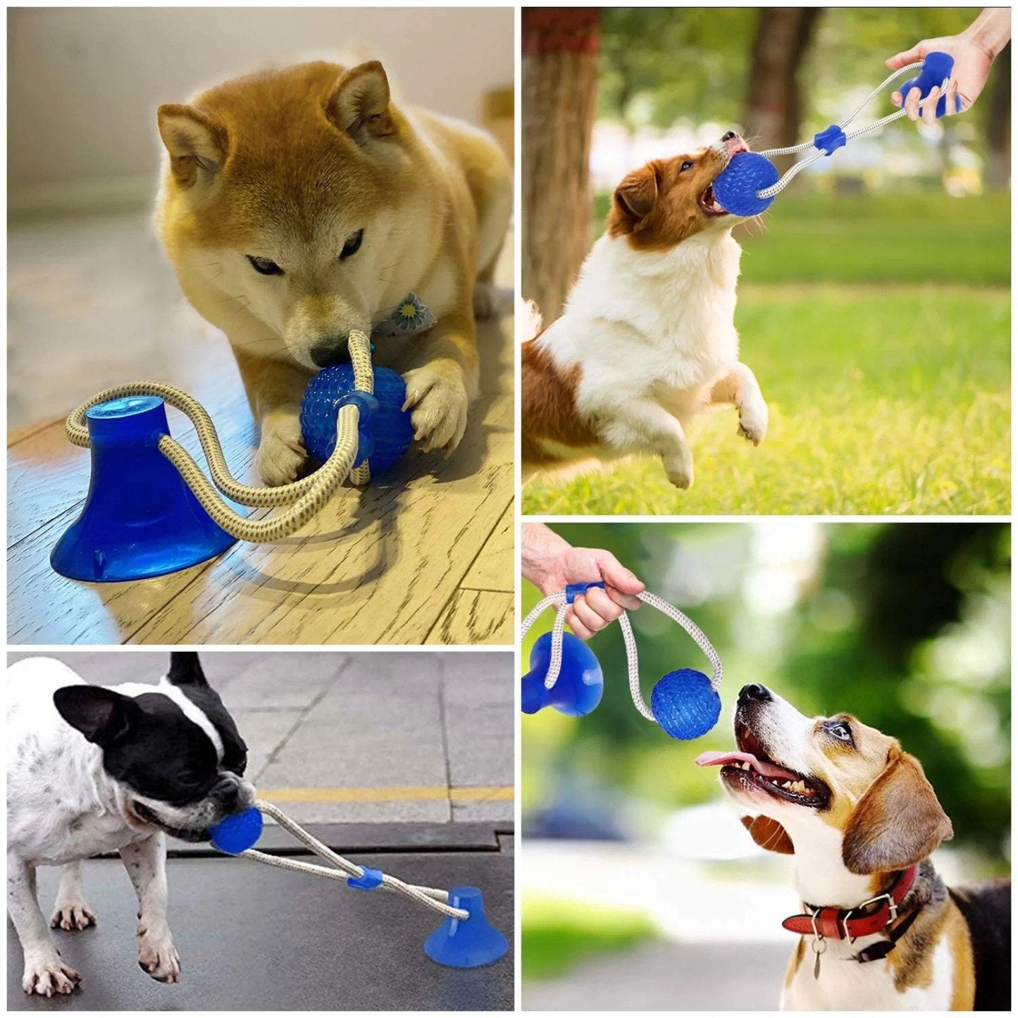 Durable Suction Cup Dog Toy for Interactive Fun