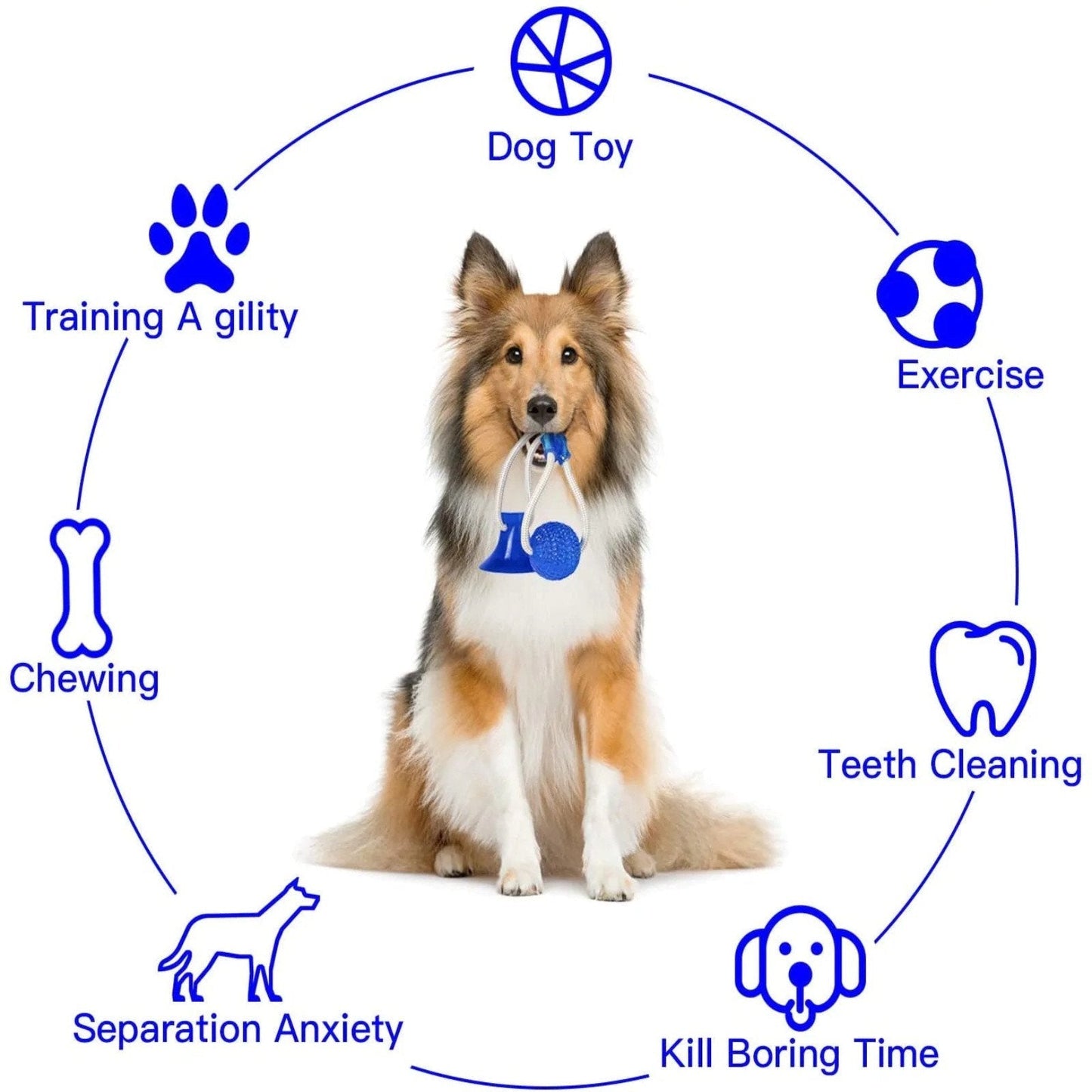 Durable Suction Cup Dog Toy for Interactive Fun