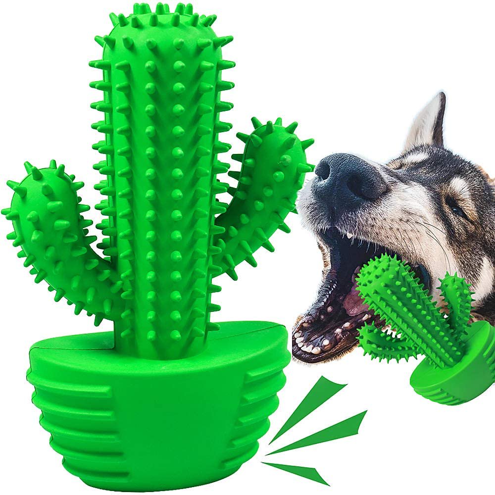 Interactive Cactus Dog Toothbrush for Effective Dental Care