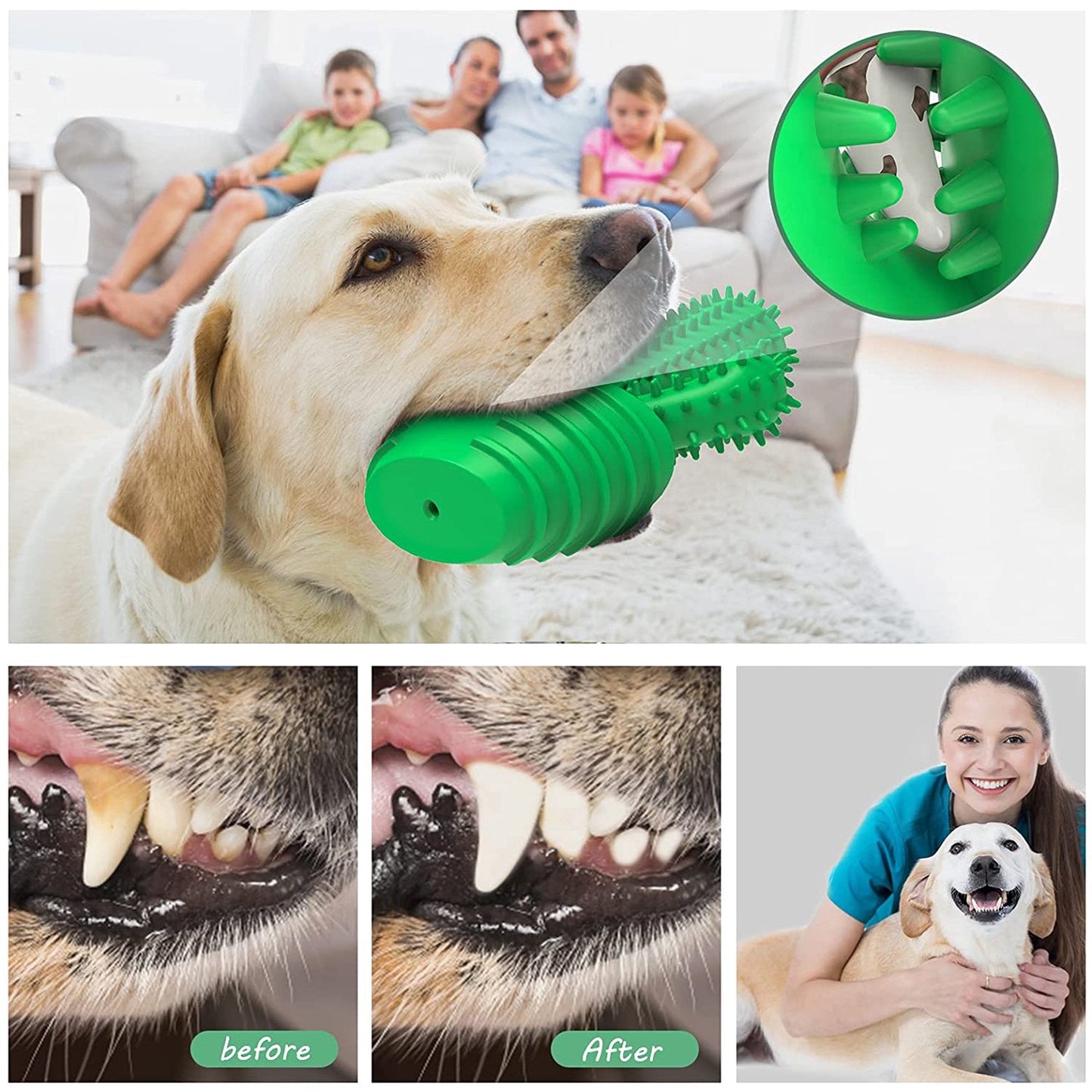 Interactive Cactus Dog Toothbrush for Effective Dental Care