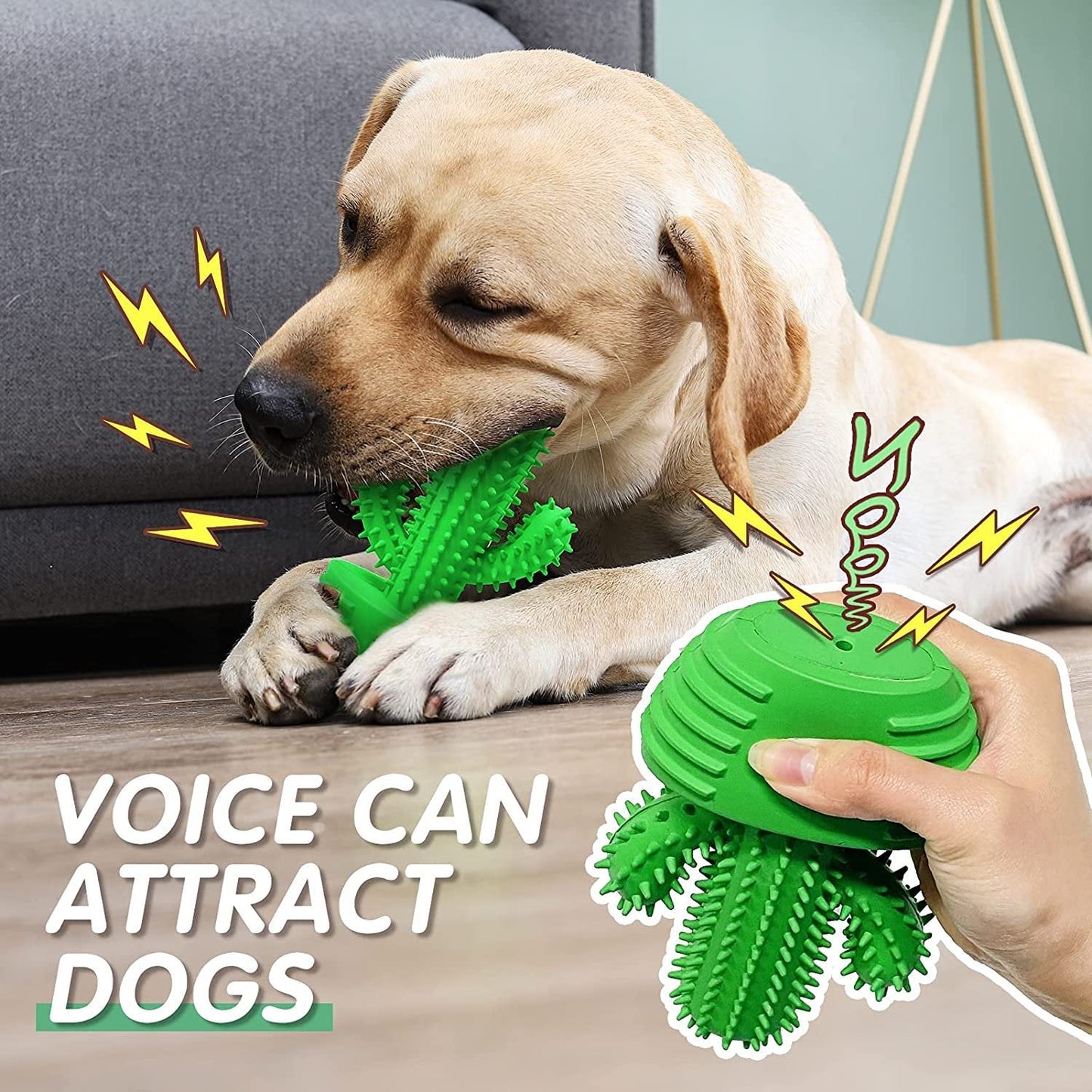 Interactive Cactus Dog Toothbrush for Effective Dental Care
