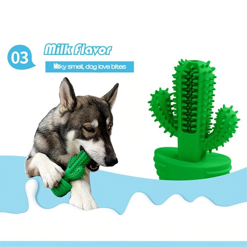 Interactive Cactus Dog Toothbrush for Effective Dental Care