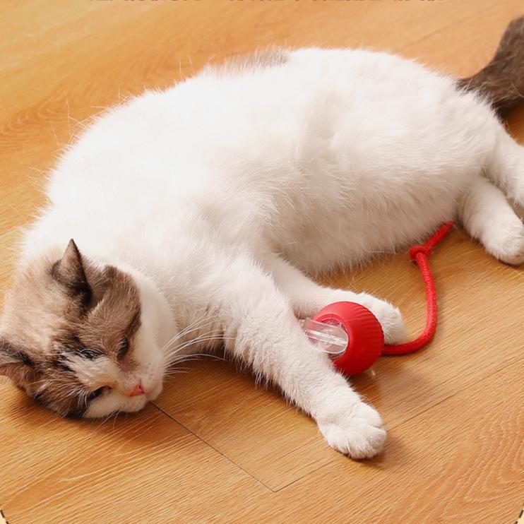 Interactive Electric Cat Toy: Automatic Rolling Ball Fun
