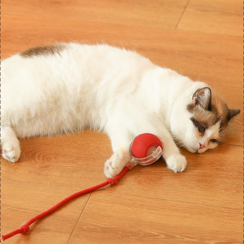 Interactive Electric Cat Toy: Automatic Rolling Ball Fun