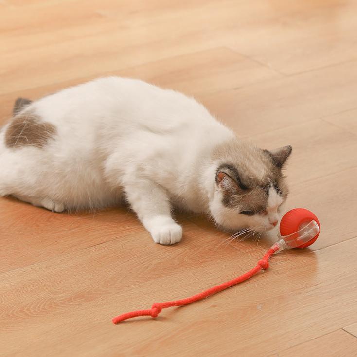 Interactive Electric Cat Toy: Automatic Rolling Ball Fun