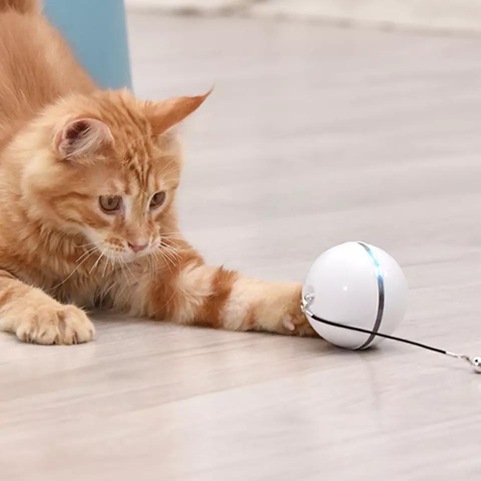 Interactive Cat Toy: Rolling Ball with Magnetic Feathers