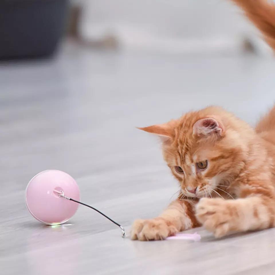 Interactive Cat Toy: Rolling Ball with Magnetic Feathers